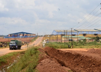The Ministry of Lands, Housing and Urban Development has cancelled Prof Minaz Karmali's land title in Namanve Forest Reserve (PHOTO /Courtesy)