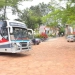 Midland High School breaks silence on viral bus video, says those are students of Lubiri High who hired the bus