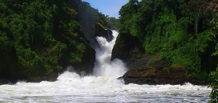 Murchison Falls National Park lies at the northern end of the Albertine Rift Valley, where the sweeping Bunyoro escarpment tumbles into vast palm-dotted Savannah. (