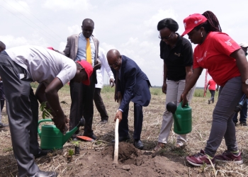 Minister of State for Finance Amos Lugoolobi plants a tree as he launched the restoration drive (PHOTO /Courtesy)