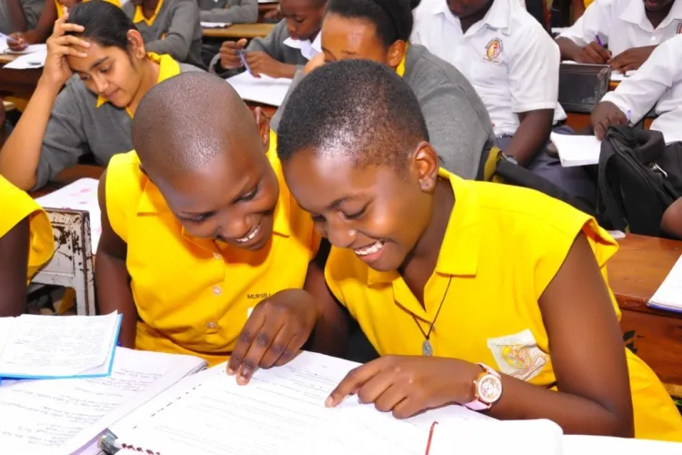 Learners with special needs, unable to study science subjects, will offer General Science while a sign language syllabus was also been developed as an alternative language (PHOTO/File)