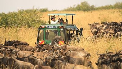Tourists from United State at a park. PHOTO | US EMBASSY IN TANZANIA