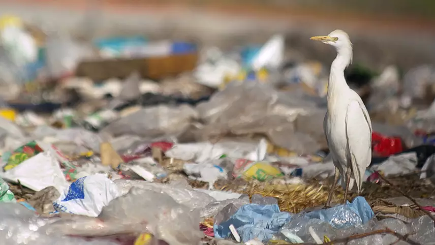 Businesses, financial institutions, and non-governmental organisations (NGOs) have come together to announce plans to establish an “ambitious” global treaty to end plastic pollution.