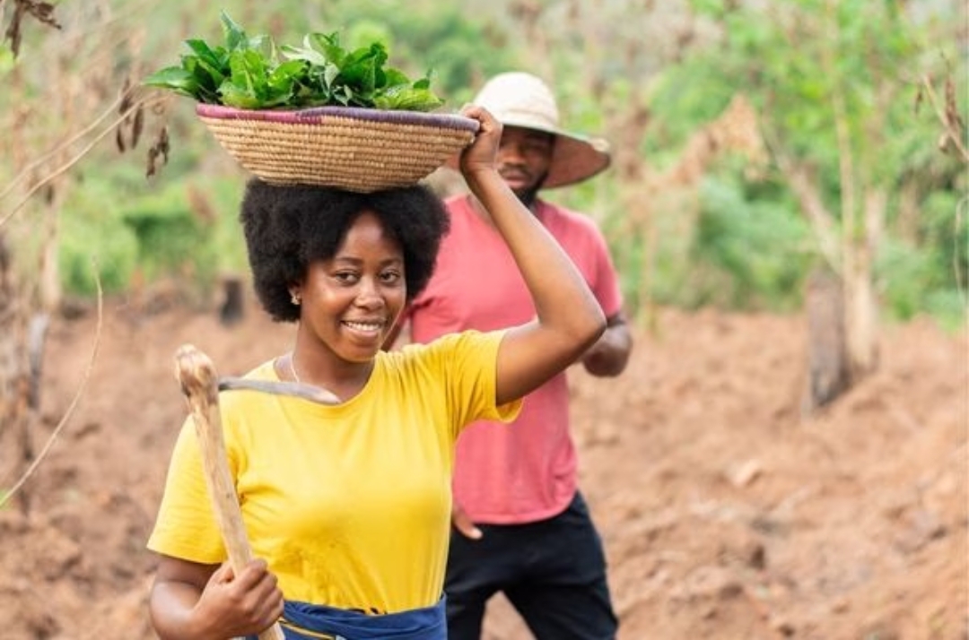 The new inclusive application system focuses on equity, ease of use, and overall reach. its design efforts foregrounded African Visionaries’ input, desires, and experiences.