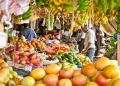 Ripe fruits stacked at a local fruit and vegetable market. The FAO Sugar Price Index was down 0.7 percent during the month of September, mostly related to good production prospects in Brazil along with lower ethanol prices and currency movement effects (PHOTO/Courtesy)