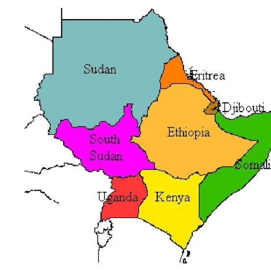 The Intergovernmental Authority on Development is a body currently comprising seven countries in the Horn of Africa. The regional organisation based in Djibouti supports its member states in their manifold development efforts, especially in the areas of peace processes and food security (PHOTO/Courtesy)