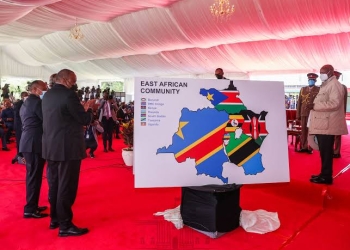 The findings show that the expected strong growth is not homogenous across the region, with top performers being Ethiopia, Kenya, Rwanda, Seychelles, Tanzania and Uganda.