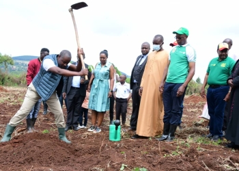 Deputy Speaker Thomas Tayebwa planted trees as he celebrated his 42 birthday (PHOTO/Courtesy).
