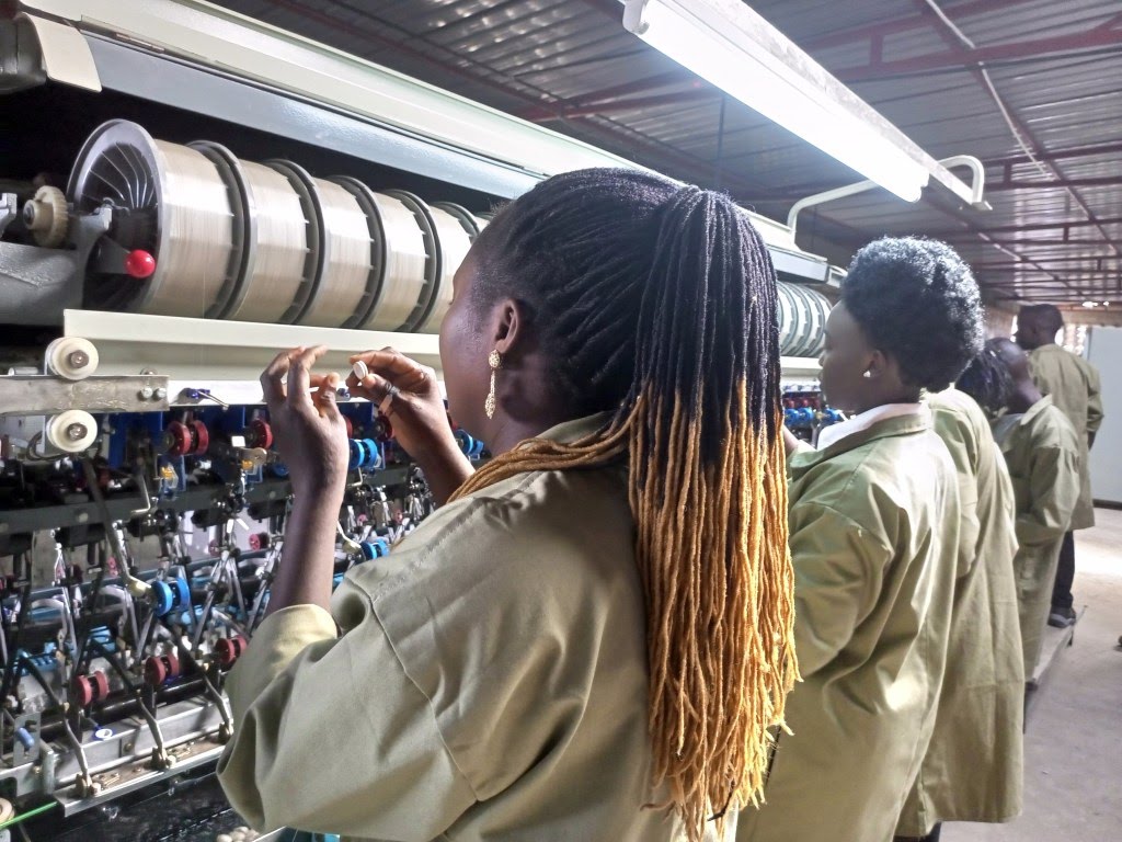 Some of the Trainees under the Commercialization of Sericulture Technologies and Innovations Project, Ececuted by the Tropical Institute of Development Innovations (TRIDI) participating in a silk reeling exercise at a post-cocoon processing factory in Chepsikunya, Kween District. Photo Credit; Mercy Scarlet Kigai.