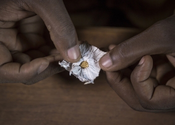 The planetGOLD Uganda project aims to reduce mercury use by 15 tonnes over five years and support 4,500 artisanal miners