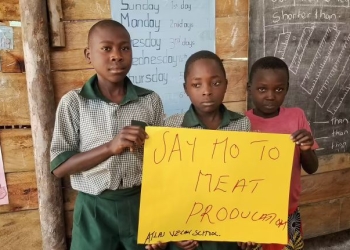Uganda’s first vegan school was founded to help African children build a foundation of love and respect for the animals, their health, and the earth.