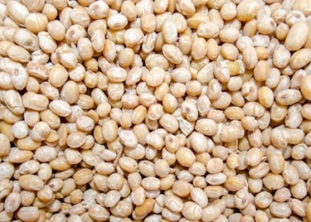 Since the first African Grain Trade Summit, held in Nairobi in 2005, stakeholders have successfully advocated for policy interventions that have supported grain trade and improved grain structures. For instance, the African Grain Trade Summit supported the establishment of harmonized grain standards for the East African Community, improvement of warehouse receipting and commodity exchanges, and influenced Tanzania to lift its maize export bans.