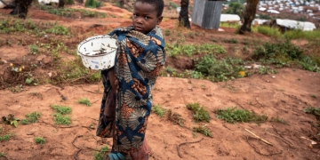A child holds a pan of locusts at a camp for internally displaced persons in the Democratic Republic of the Congo. Image source: UNICEF/Olivia Acland