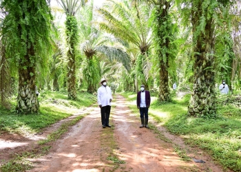 The President was in Kalangala district for his Investment and Wealth Creation tour running under the theme: “Securing your future through wealth creation and shared prosperity”.