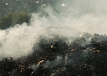 Burning plastic waste also releases a range of toxic gases, heavy metals, and particles into the air. These can be bad for our health. Dioxins are just one of the many harmful emissions from incinerators. They are highly toxic and can cause cancer and damage to the immune system.
