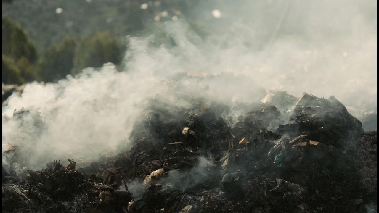 Burning plastic waste also releases a range of toxic gases, heavy metals, and particles into the air. These can be bad for our health. Dioxins are just one of the many harmful emissions from incinerators. They are highly toxic and can cause cancer and damage to the immune system.