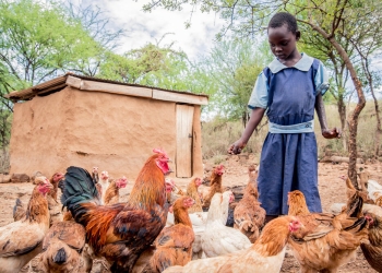 Eight-year old Jepngok was bitten by a snake as a toddler. She can no longer use her left arm. © Paul Odongo/MSF