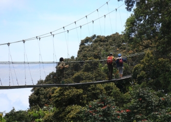 People walk through the canopy walkway in Nyungwe National Park in Rwanda,on May 2, 2022.