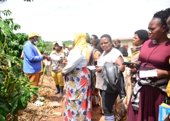 Women leaders from Wakiso and Mukono learning about coffee at the Kawumu Presidential Demonstration Farm in Luweero on Wednesday
