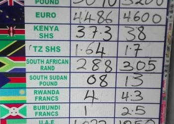 This is provided for in the Foreign Exchange (Amendment) Bill, 2023 that was passed by Parliament during plenary on Thursday, 29 June 2023 chaired by Speaker Anita Among