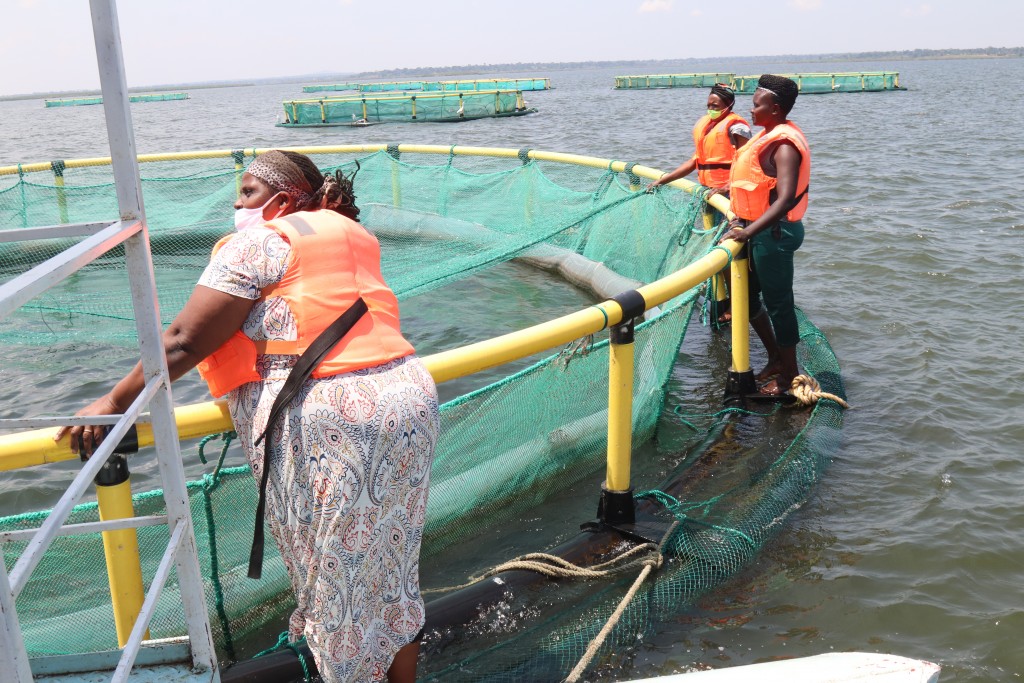 The Bugiri women’s aquaculture project has led capacity building and training in aquaculture. Image credit: Bugiri women