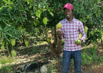 Historically, Ugandans have had a great regard for nature. Living in a symbiotic relationship with nature is stressed and cultural totems amongst the Ugandan peoples have meant that Ugandans grow up relating to their role within the natural order of things. This has contributed to their predisposition toward the practices of organic agriculture (OA).