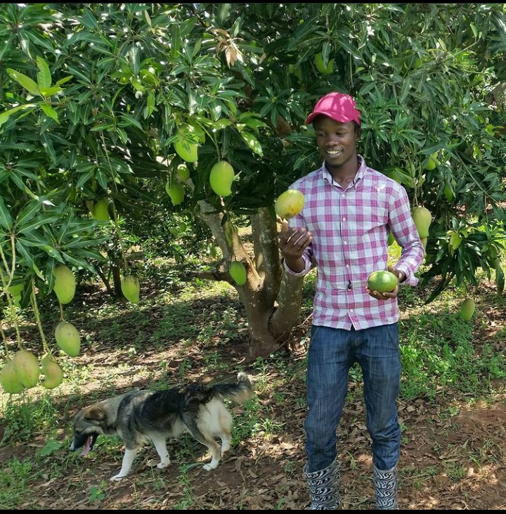 Historically, Ugandans have had a great regard for nature. Living in a symbiotic relationship with nature is stressed and cultural totems amongst the Ugandan peoples have meant that Ugandans grow up relating to their role within the natural order of things. This has contributed to their predisposition toward the practices of organic agriculture (OA).