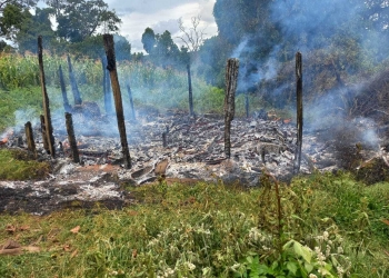 An Ogiek home burned to the ground during illegal and brutal evictions by the Kenyan authorities. © Anon