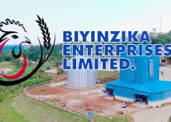 The Court of Appeal’s injunction stands as a crucial safeguard for Biyinzika Enterprises Limited, preserving its properties from being auctioned off by Cairo International Bank. This legal restraint follows a contentious dispute between the bank and the enterprise, with the court’s decision signalling a temporary but crucial pause in the bank’s attempts to liquidate the properties.