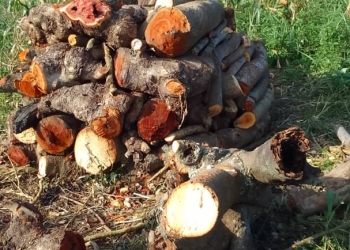 Destroyed property