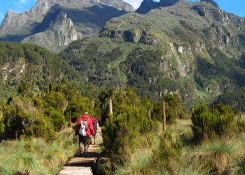 Many travellers find Mt. Elgon National Park an exciting alternative to the more strenuous climbs in East Africa. (PHOTO/Courtesy)