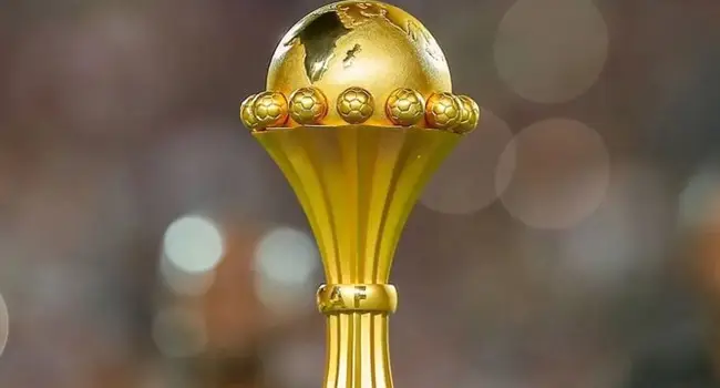 MultiChoice, the owner of DStv and GOtv, has announced that it failed to secure the broadcasting rights for this month’s African Cup of Nations (AFCON).