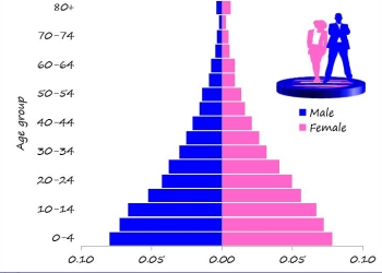 Population pyramid Age – Sex Composition of the Population 2024