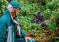The gorilla trekking adventure in Uganda is one of the most exhilarating wildlife experiences that brings you face-to-face with Africa’s great apes in their natural habitat. From the dense forests to the heart-pounding encounters, this article will provide you with all the essential information, questions, and accurate answers you need to plan an unforgettable gorilla trekking expedition.