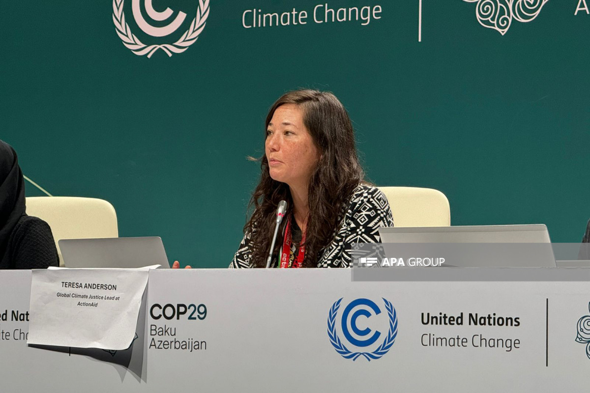 Teresa Anderson – the Global Climate Justice Lead at ActionAid International