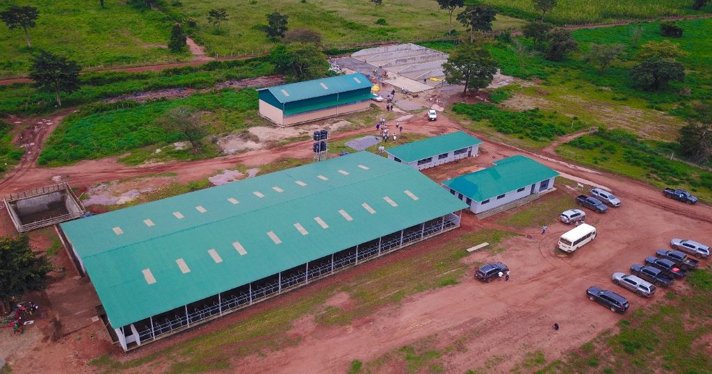 Dairy breeding and production complex in Kasolwe – Kamuli District