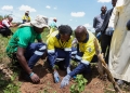 EACOP partners with the Hoima Catholic Diocese in Uganda to support the "Running Out of Trees" campaign, aiming to plant 200 million trees and restore the environment.