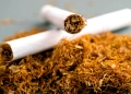 Tobacco companies in Uganda, including Leaf Tobacco and BAT, oppose a proposed excise duty hike on cigarettes, warning Parliament's Finance Committee that it will lead to revenue losses and fuel illicit trade. Meanwhile, the leather industry supports a new export tax, and accountants back tax exemptions for small businesses.