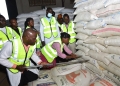 Aflatoxin crackdown: Uganda's UNBS mandates quality marks for maize exports, banning uncertified produce to ensure safer grain.