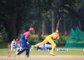 Cricket Cranes