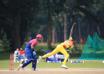 Cricket Cranes