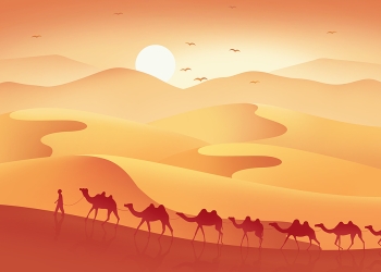 Camels traveling along the ancient Silk Road. [Photo: VCG]