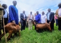 Minister Bright Rwamirama (center) presiding over the goat transfer event at NAGRC & DB in Entebbe