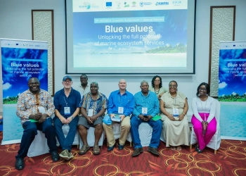 Marine experts urge Indian Ocean nations to adopt a holistic 'Blue Values' framework to protect the ocean's benefits beyond just fishing and tourism