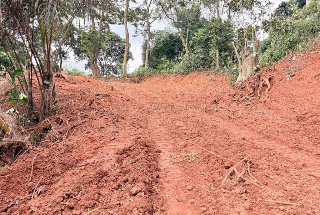 Часть Центрального лесного заповедника Китубулу недавно расчищена, что показывает размеры земли, выделенной застройщику для строительства предлагаемого многомиллионного проекта смешанного использования. Расчистка этой охраняемой территории вызвала резкую критику со стороны местных чиновников, в том числе мэра, и природоохранных групп, которые утверждают, что эта акция ставит под угрозу озеро Виктория и нарушает законы об охране окружающей среды. Лес является важной городской зеленой зоной и естественной защитой от наводнений.