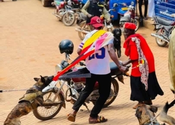 A Police dog in action at Kawempe Growers where Robert Kyagulanyi held his rally in Kawempe Division. (Courtesy photo)
