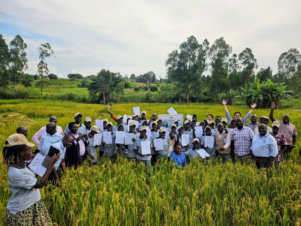 PRiDe project technical teams join rice farmers in Maracha on the graduation day on 6 November 2025