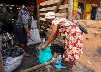 Uganda faces a multibillion-dollar deadlock as charcoal remains the primary fuel for 82 percent of Kampala households.