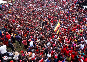 Presidential hopeful Robert Kyagulanyi Ssentamu pledges to end raw cocoa exports by building chocolate factories in Ntoroko and Bundibugyo to boost Uganda's $150 million cocoa industry.