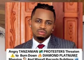 The East African music scene is reeling as fans ditch superstars like Diamond Platnumz, leading to canceled shows and plummeting digital streams across the region.